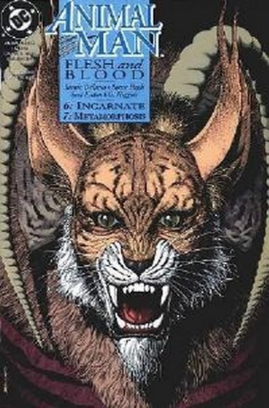 Cover of Animal Man (Vol 1) #56. One of 250,000 Vintage American Comics on sale from Krypton!