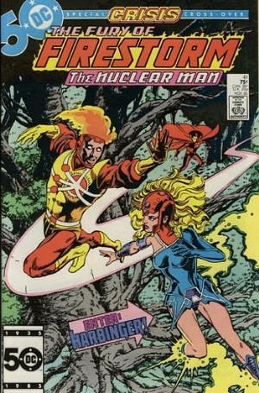Cover of Firestorm (Vol 2) The Fury of #41. One of 250,000 Vintage American Comics on sale from Krypton!