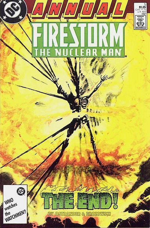 Cover of Firestorm - The Fury of Annual #5. One of 250,000 Vintage American Comics on sale from Krypton!