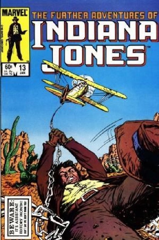 Cover of Indiana Jones (Vol 1) Further Adventures of #13. One of 250,000 Vintage American Comics on sale from Krypton!