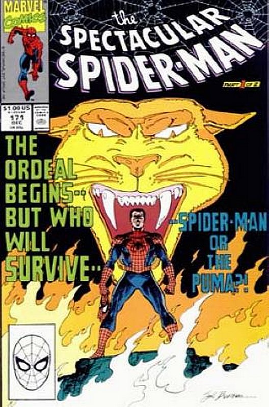 Cover of Spectacular Spider-Man (Vol 1) #171. One of 250,000 Vintage American Comics on sale from Krypton!