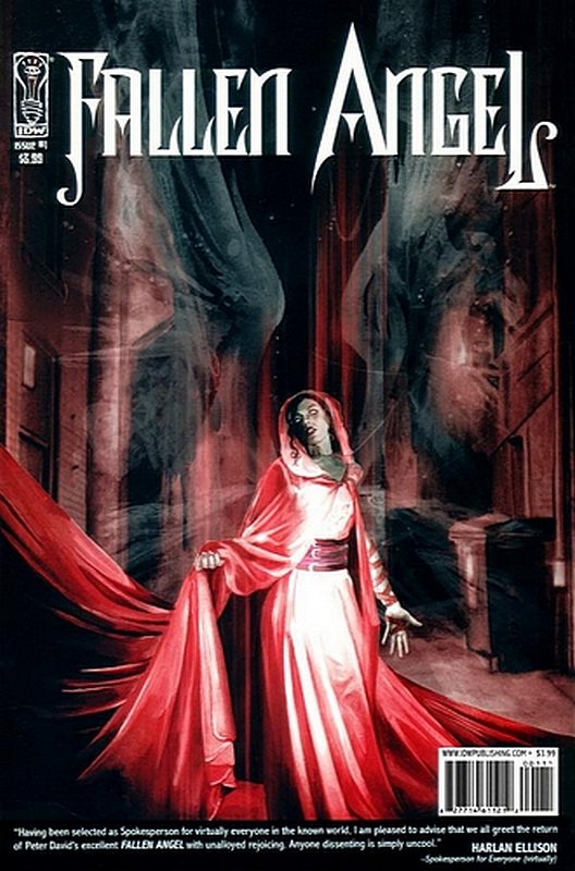 Cover of Fallen Angel (IDW) (Vol 1) #1. One of 250,000 Vintage American Comics on sale from Krypton!