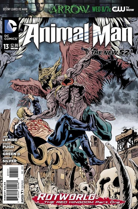 Cover of Animal Man (Vol 2) #13. One of 250,000 Vintage American Comics on sale from Krypton!