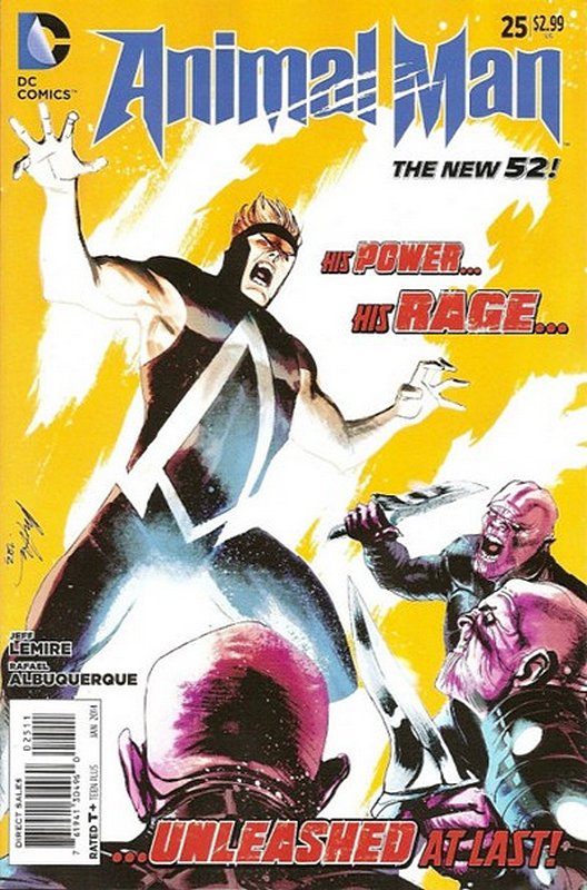 Cover of Animal Man (Vol 2) #25. One of 250,000 Vintage American Comics on sale from Krypton!