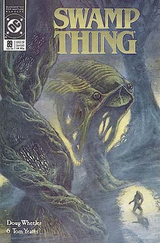 Cover of Swamp Thing (Vol 2) #89. One of 250,000 Vintage American Comics on sale from Krypton!