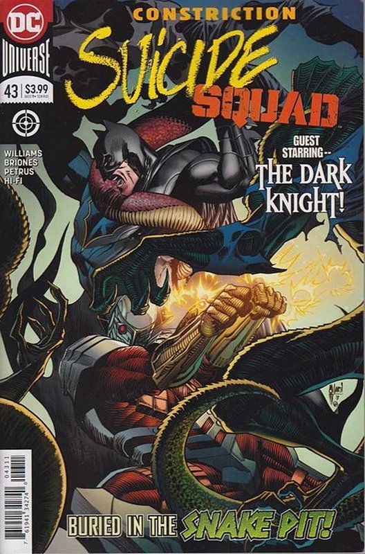 Cover of Suicide Squad (Vol 4) #43. One of 250,000 Vintage American Comics on sale from Krypton!