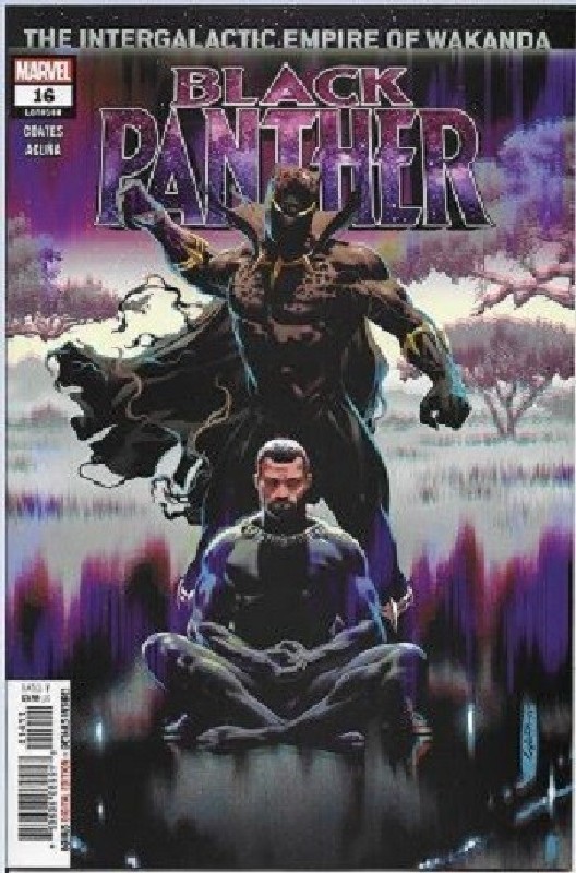 Cover of Black Panther (Vol 7) #16. One of 250,000 Vintage American Comics on sale from Krypton!