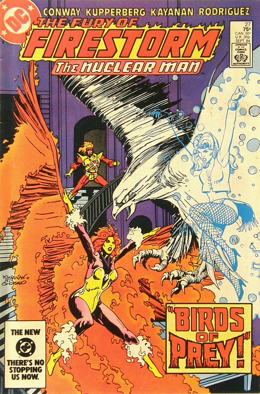 Cover of Firestorm (Vol 2) The Fury of #27. One of 250,000 Vintage American Comics on sale from Krypton!