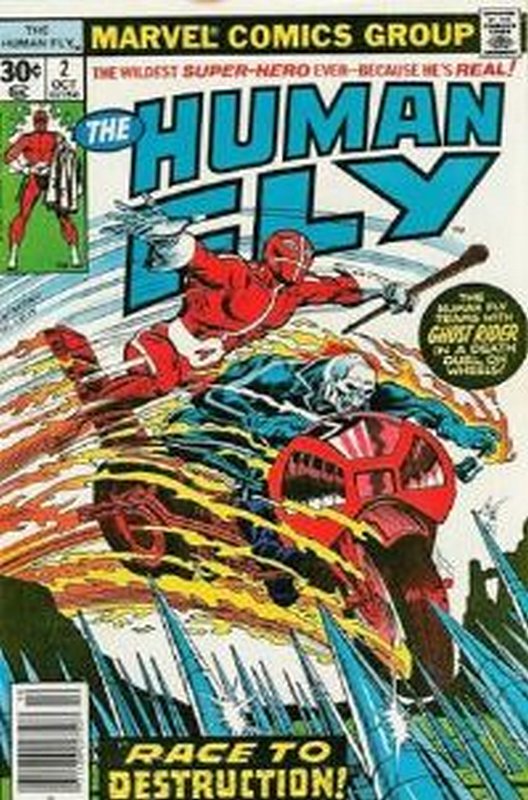 Cover of Human Fly (Vol 1) #2. One of 250,000 Vintage American Comics on sale from Krypton!