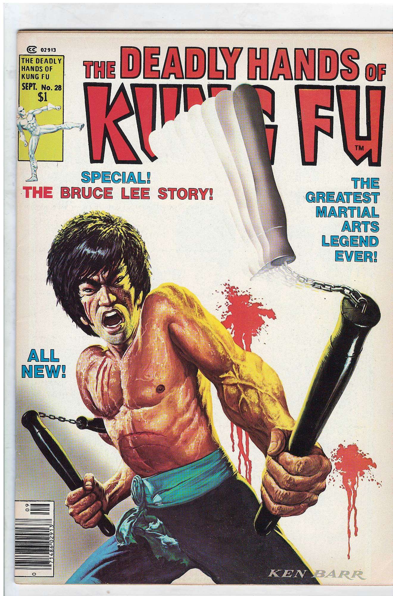 Cover of Deadly Hands of Kung Fu (Vol 1) (Magazine) #28. One of 250,000 Vintage American Comics on sale from Krypton!